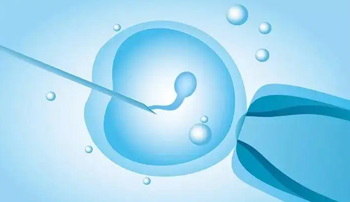 昆明试管助孕联系方式-昆华医院捐卵试管婴儿的成功率高吗？附试管婴儿医生信息!
